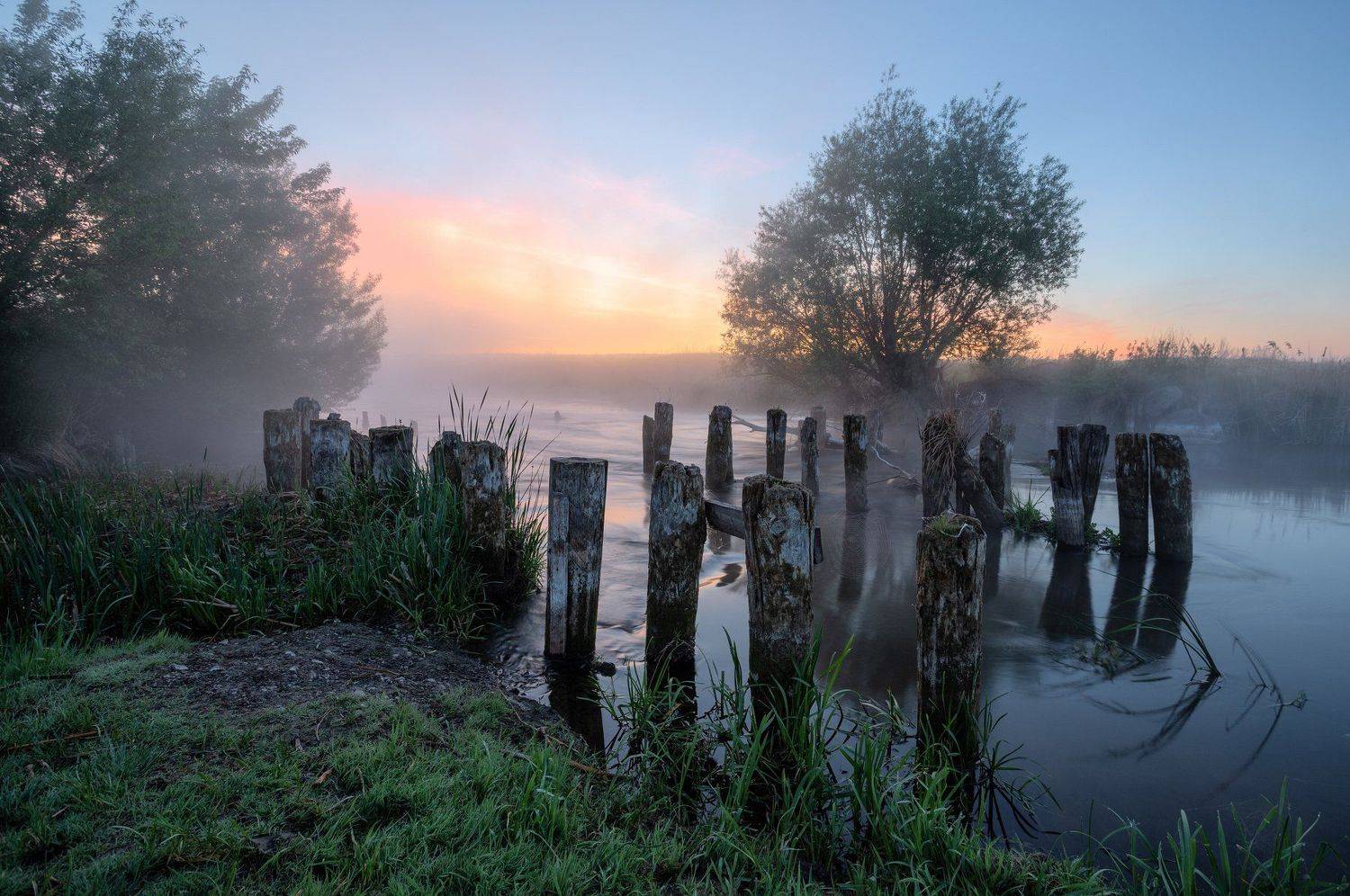 , Александр Бредихин