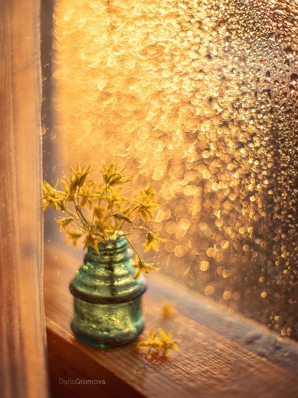 боке, ручной обьектив, мануальная оптика, фотограф, фотосессия, натюрморт, фото, блики, цветы, гелиос, макро, закат, цветы,  Медовый закат фото превью