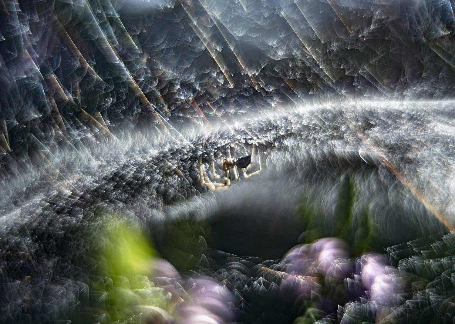 spider, bokeh, web, nature, macro, vintage lens, abstract,, Sylwia Grabinska