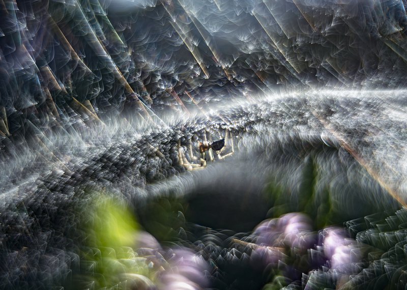 spider, bokeh, web, nature, macro, vintage lens, abstract, spider фото превью