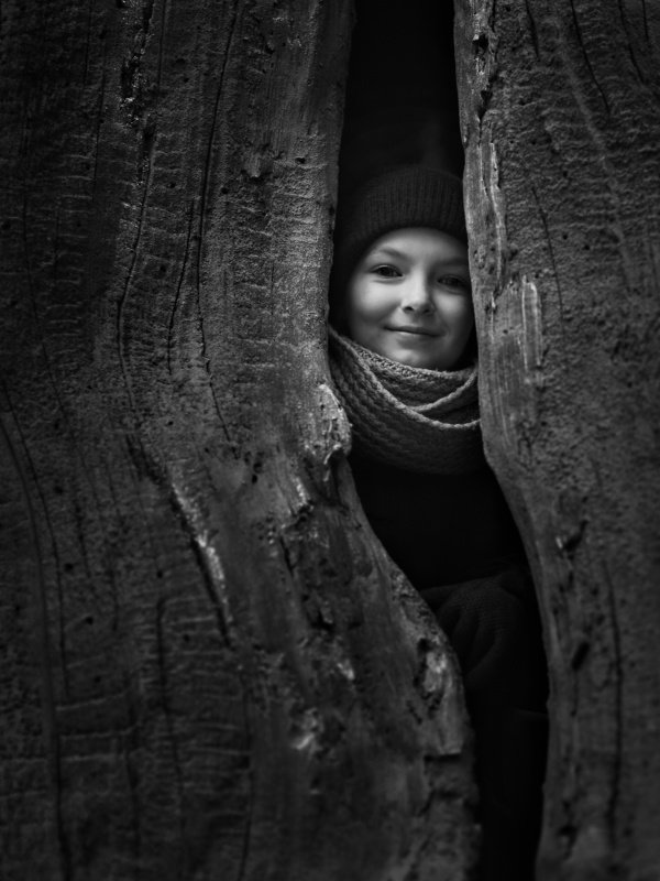 Ствол с секретом фото превью