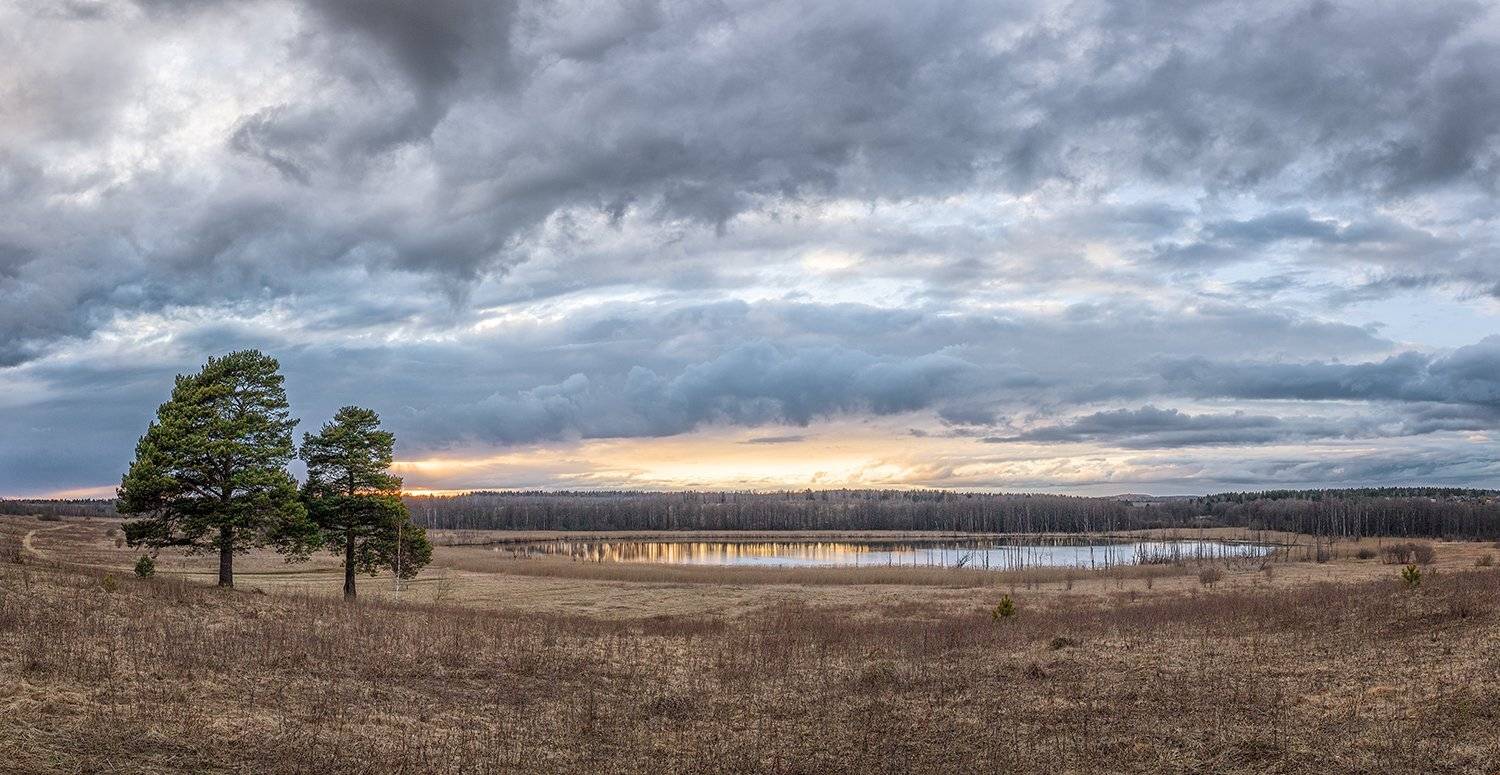 , Николай Андреев
