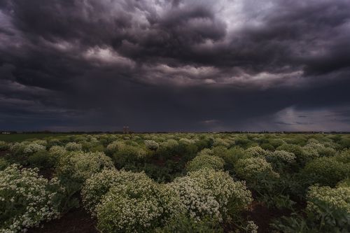 Штормовое предупреждение 