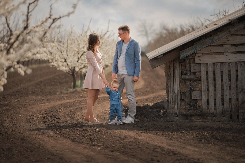 семейный портрет, цветущие сады, семейная фотография, семейный фотограф  фото превью