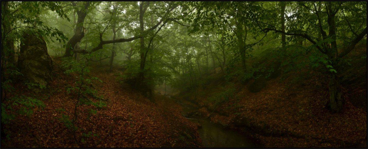 , Владимир Метцгер