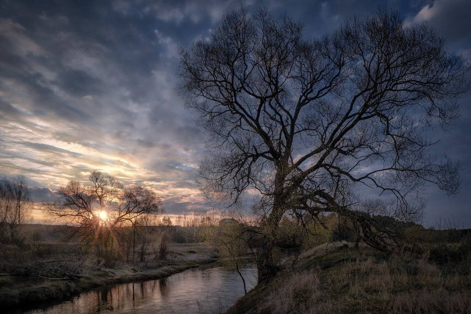 истра, река, пейзаж, рассвет, небо, дерево, туман, утро, Андрей Чиж