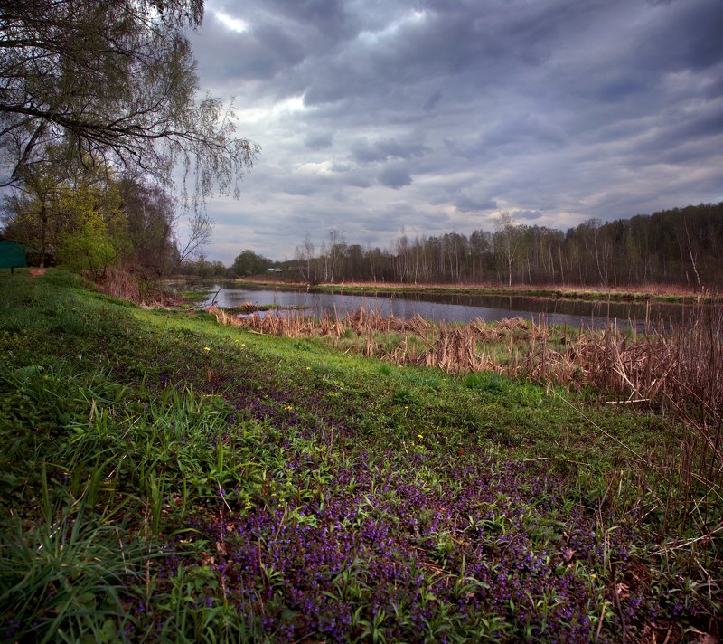 подмосковье, королев Прогулка по Клязьме фото превью
