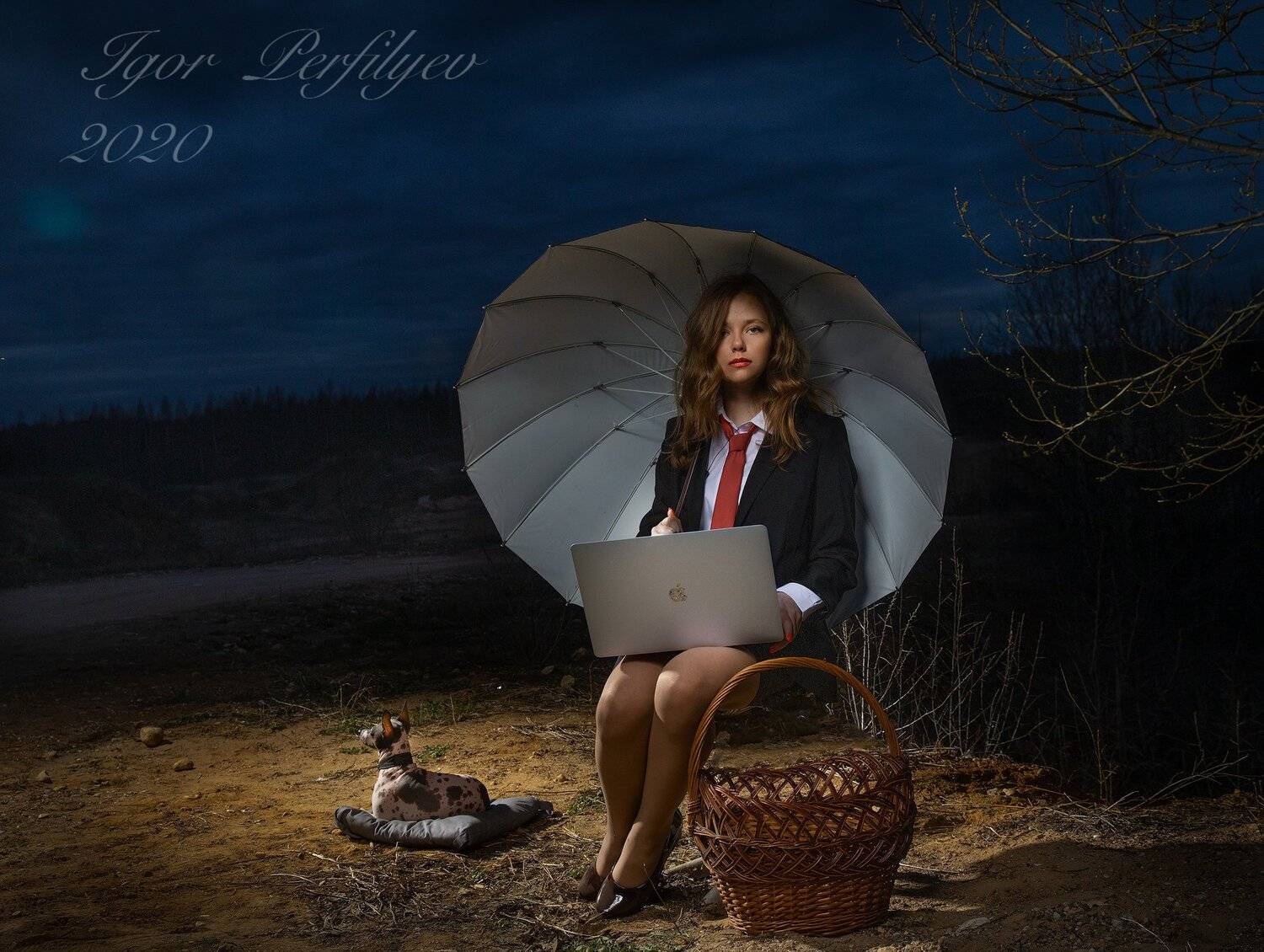 , игорь перфильев