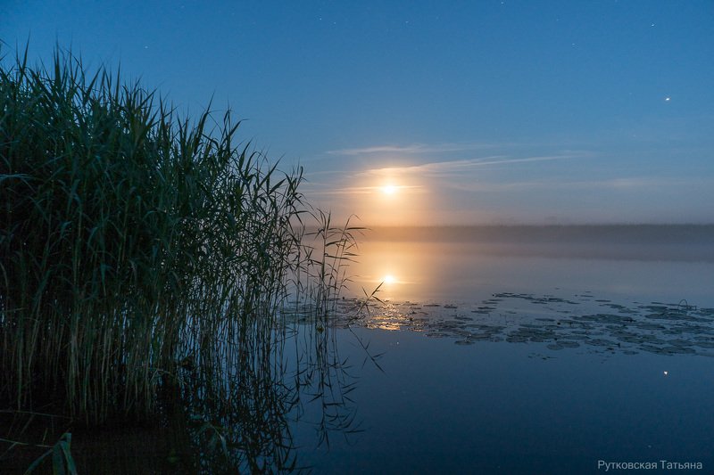 Вечер у Преголи фото превью