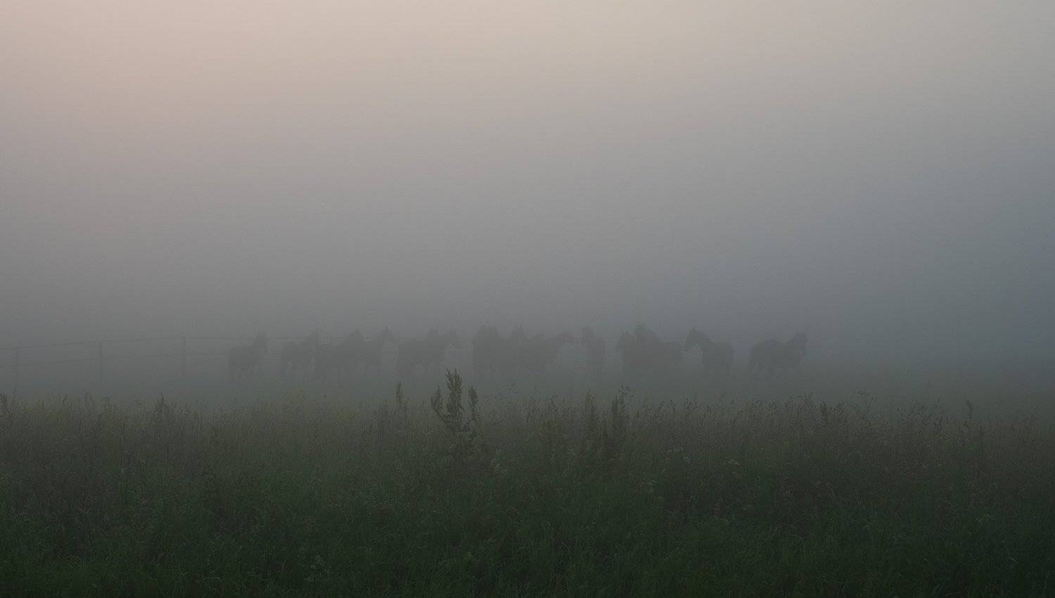 , Дмитрий Демидов