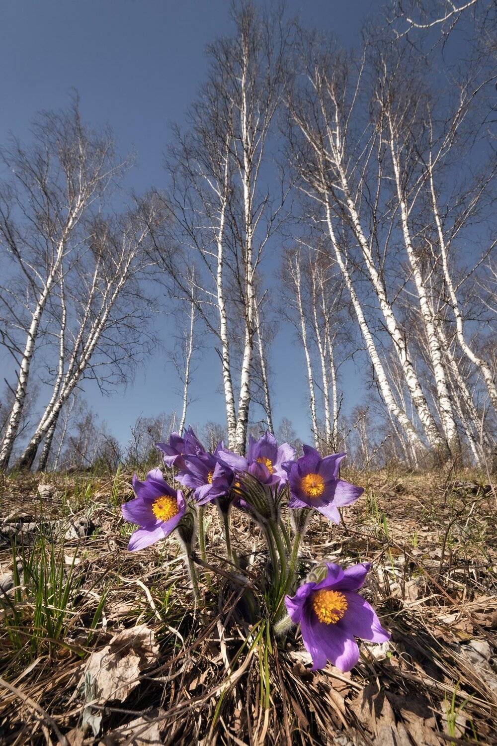 , Михаил Туркеев
