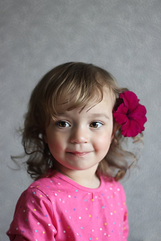 петуния фото превью