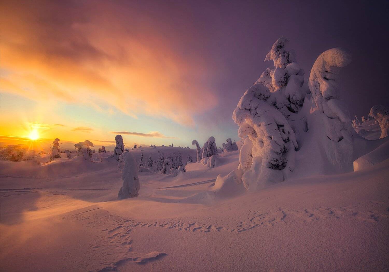 , Елена Ермолина