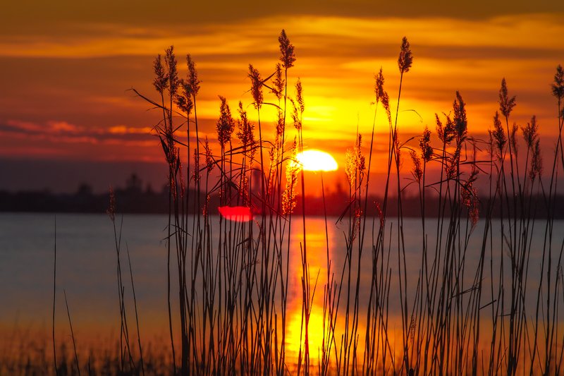 озеро, закат, весна Закатная фото превью