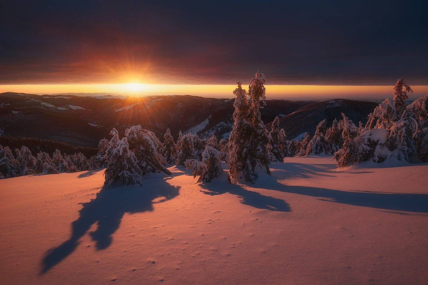 , Szabo Zsolt Andras