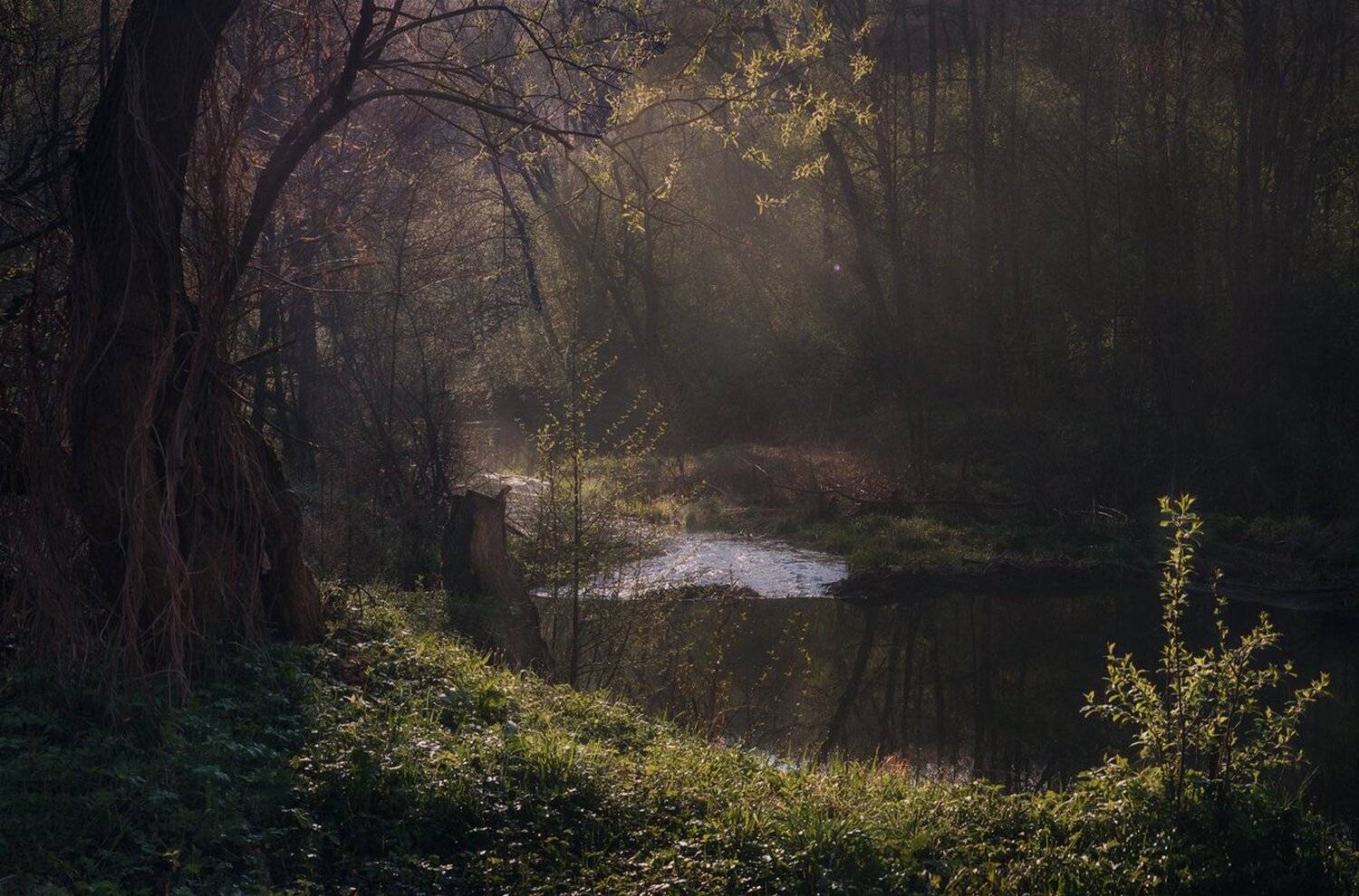 , Баранов Олег