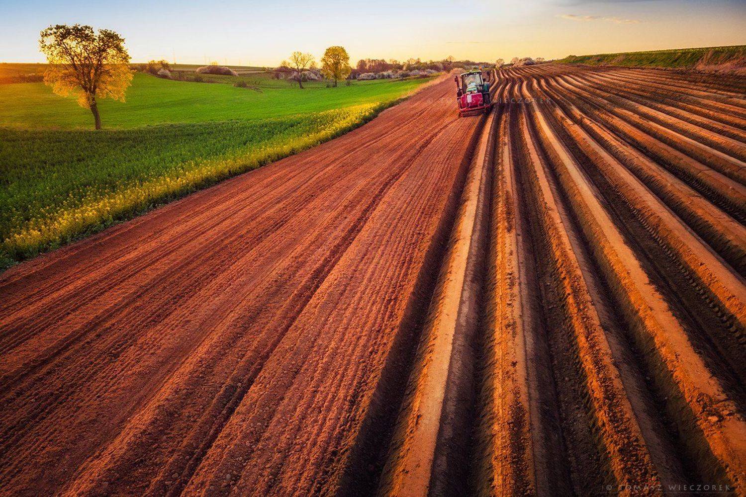 poland, polish, landscape, sunrise, sunset, colours, awesome, amazing, adventure, travel, beautiful, light, field, tractor, tree, work, village, countryside, Tomasz Wieczorek