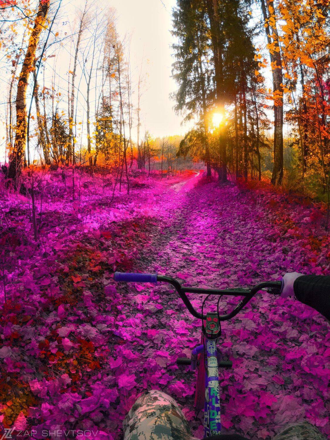 Ночь,профессиональное,черное,черно-белое,необычное,креативное,Яркое,интересное,идея для фото,фотосет,мобильное,мобильная,абстракция,обложка,Сергей Шевцов,странное,идейное,концептуальная фотография, Sergey Shevtsov