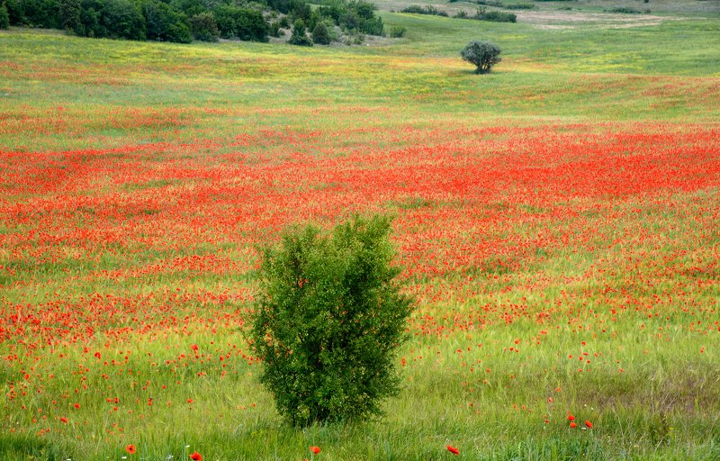 Серия Крым фото превью
