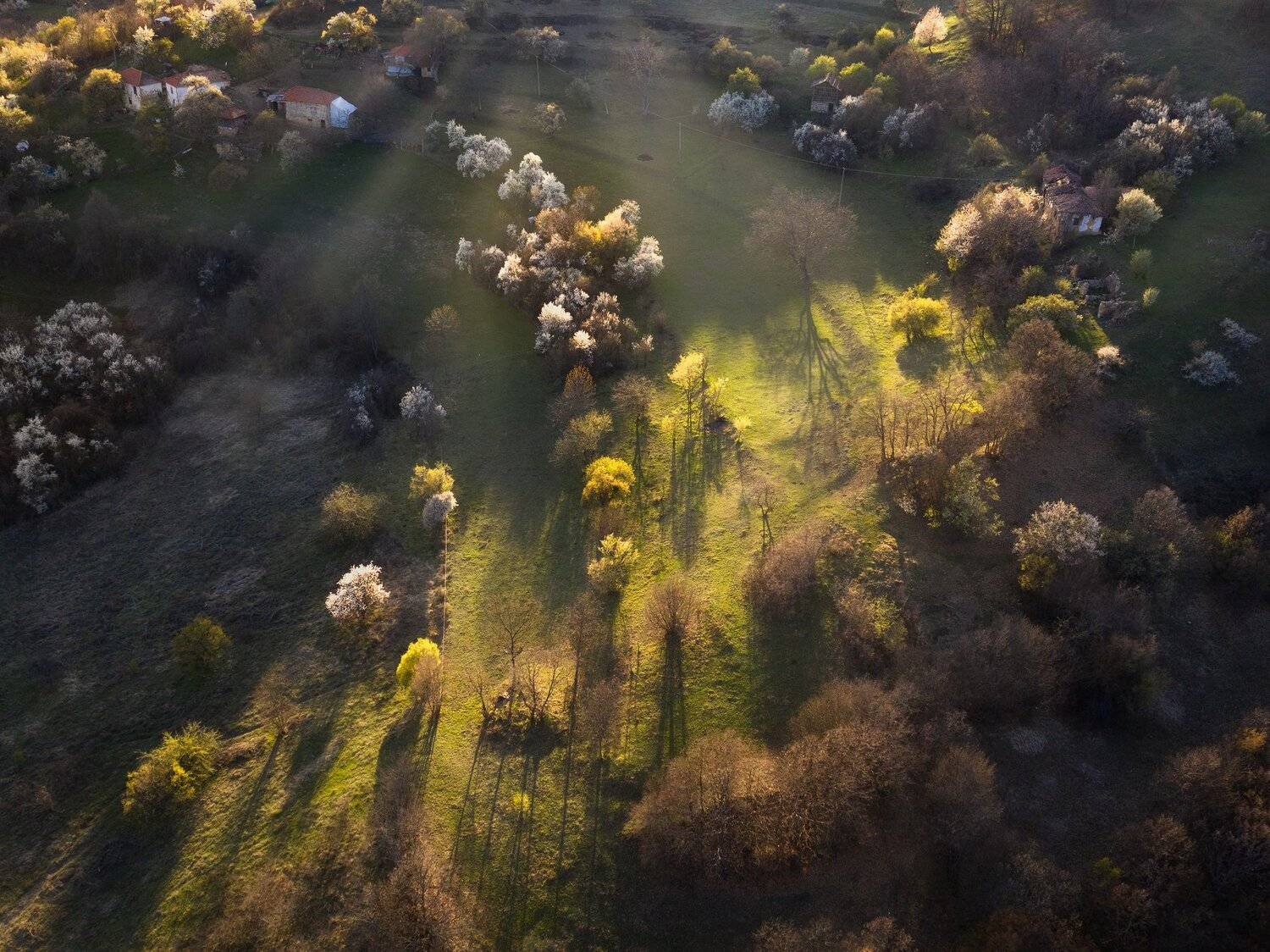 , Radoslav Sviretsov