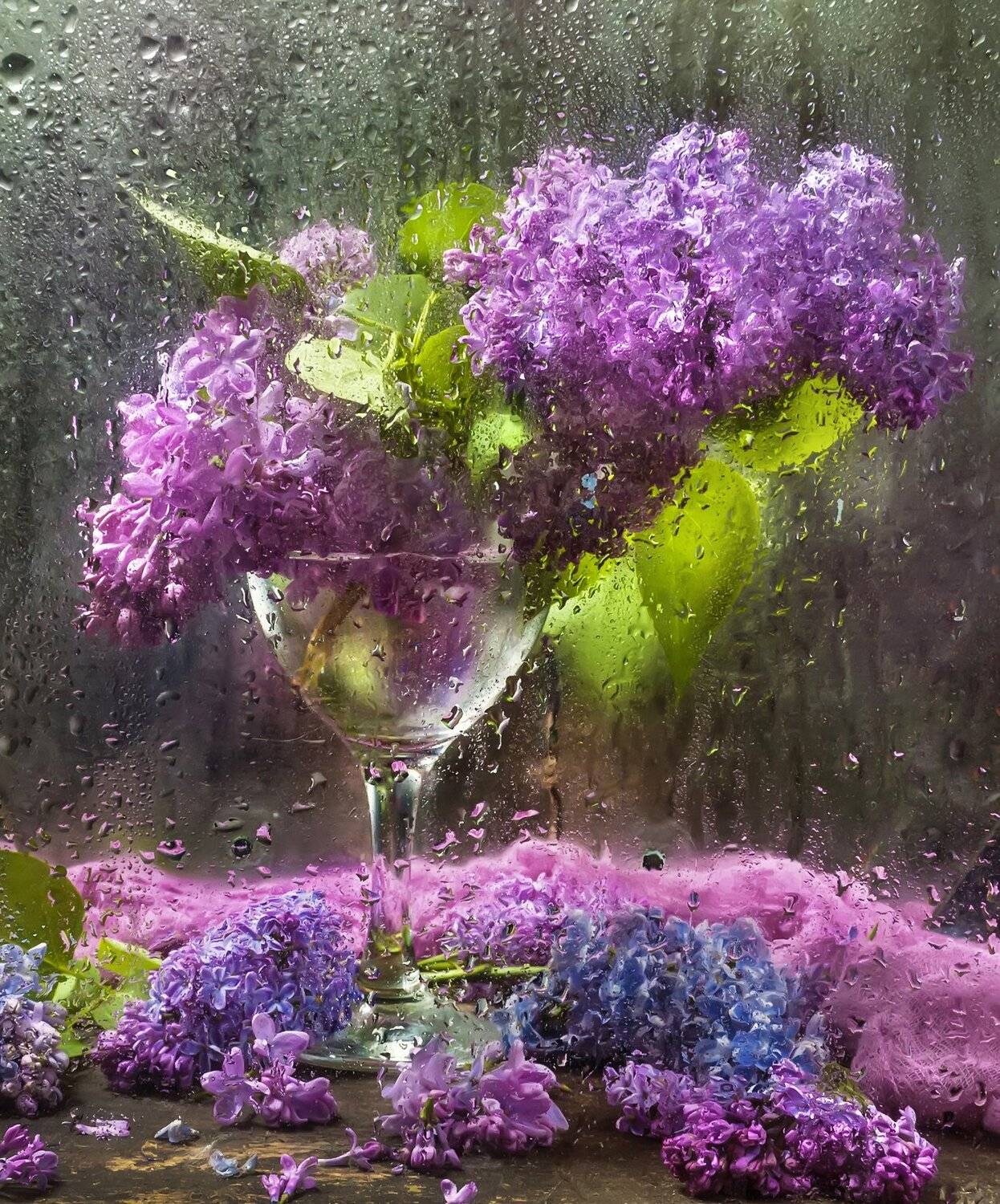 сирень,бокал,отражения,капли, Владимир Володин