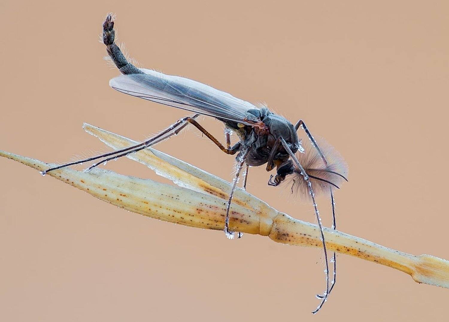 , Сергей Брагин