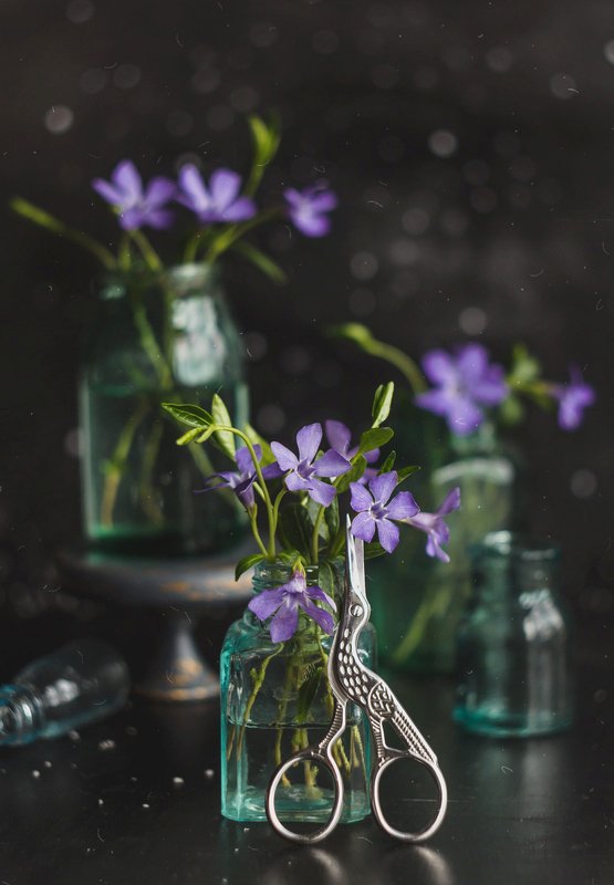 боке, натюрморт, фиолетовый, цветы, бутылка, стекло, красивый, прозрачный, блики, still life Фиолетово-серый фото превью