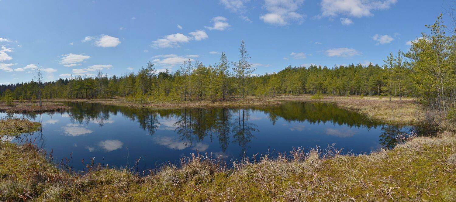 , Сергей Седов