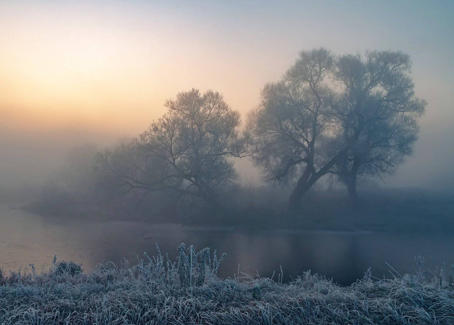 утро, свислочь, туман, иней, пейзаж, Александр Гвоздь