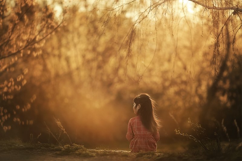 На закате фото превью