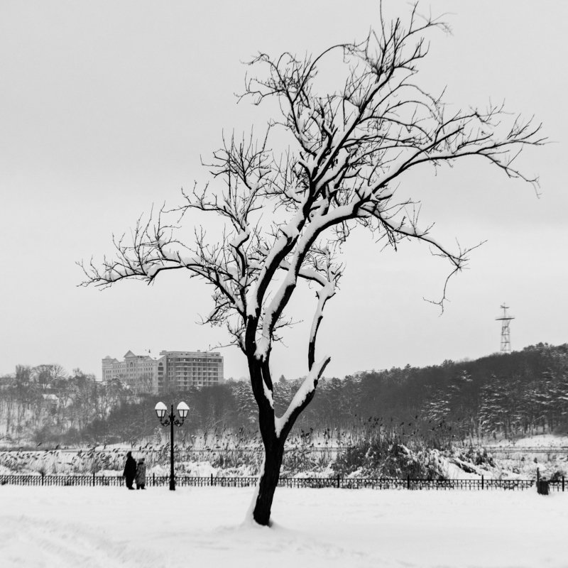 Зимняя зарисовка фото превью