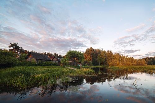 Летняя пастораль