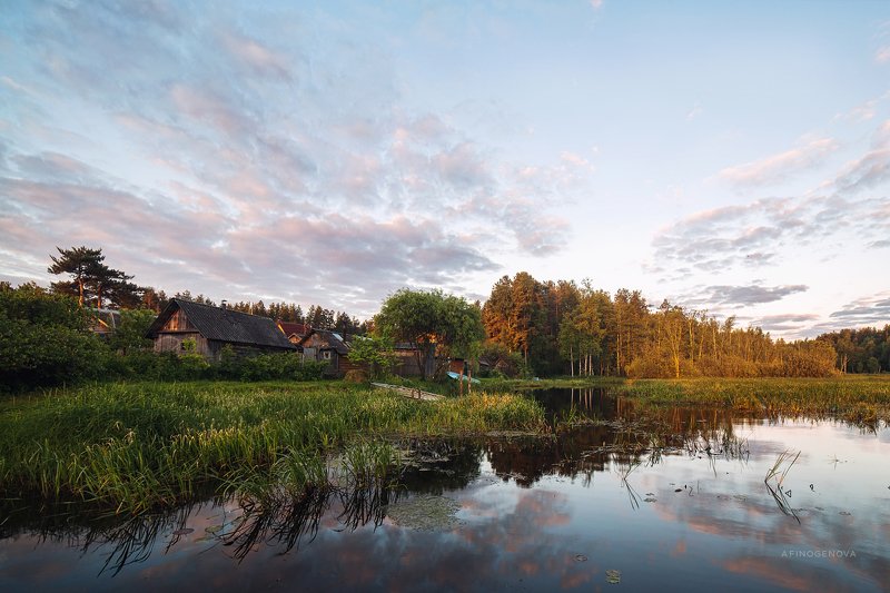 лето утро деревня лес вода отражение Летняя пастораль фото превью