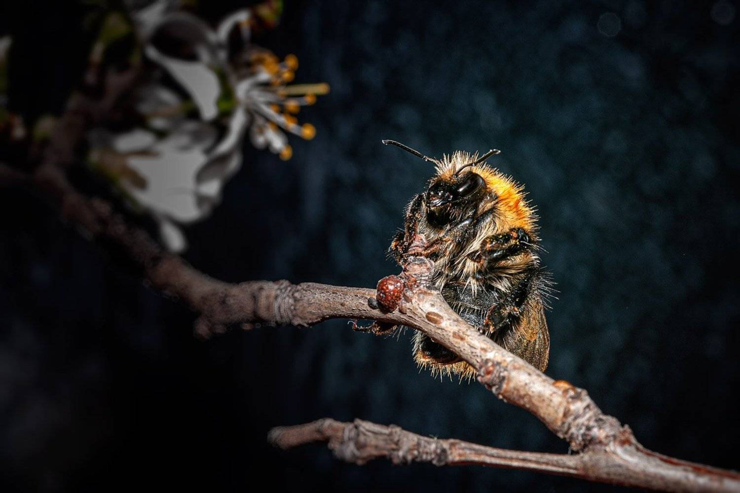 южный урал,оренбургская область, орск, новотроицк,, Качурин Алексей