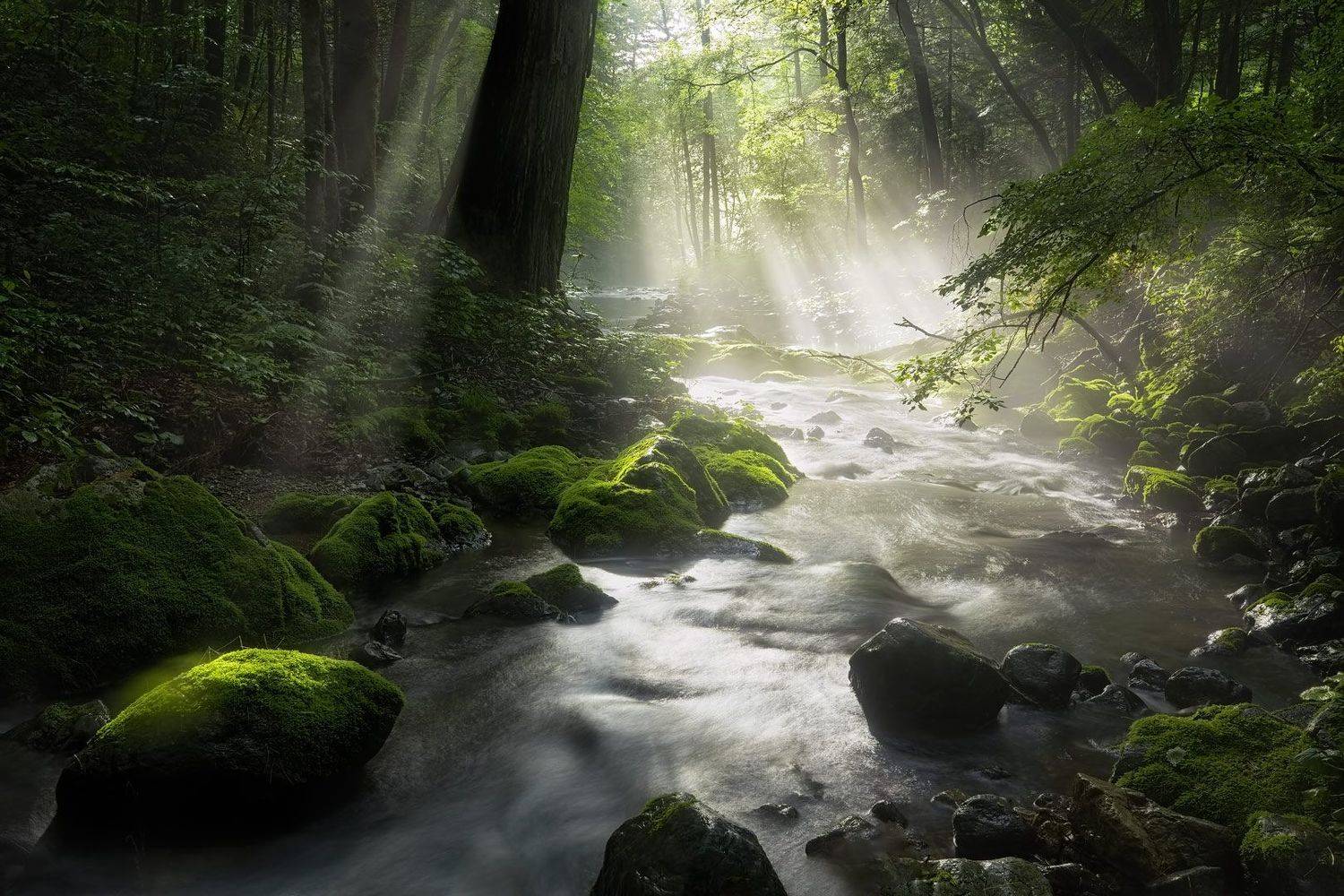 лето, ручей, тайга, приморский край, река таёжная, Евгений Паршуков