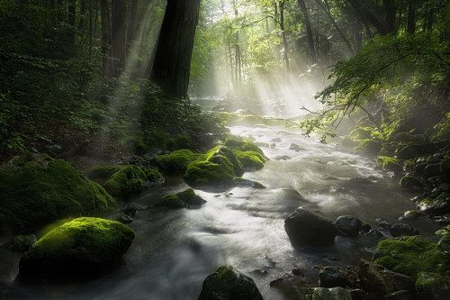 ray of light