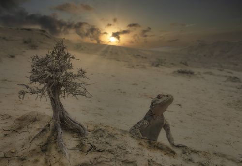 Мир без людей (  вернулись динозавры )