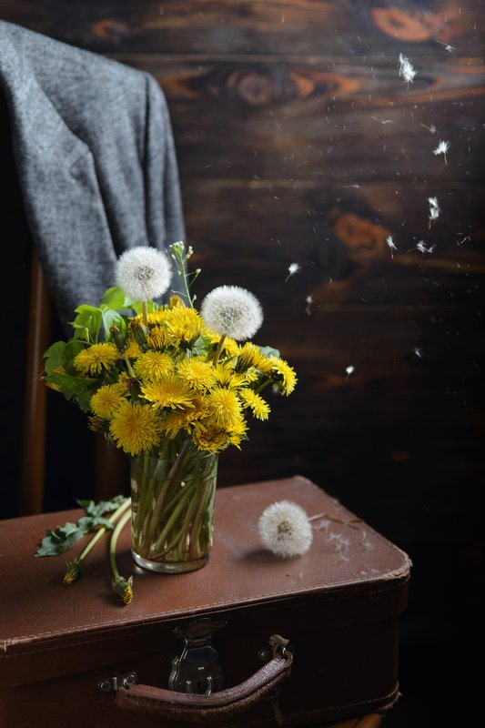 Одуванчики фото превью