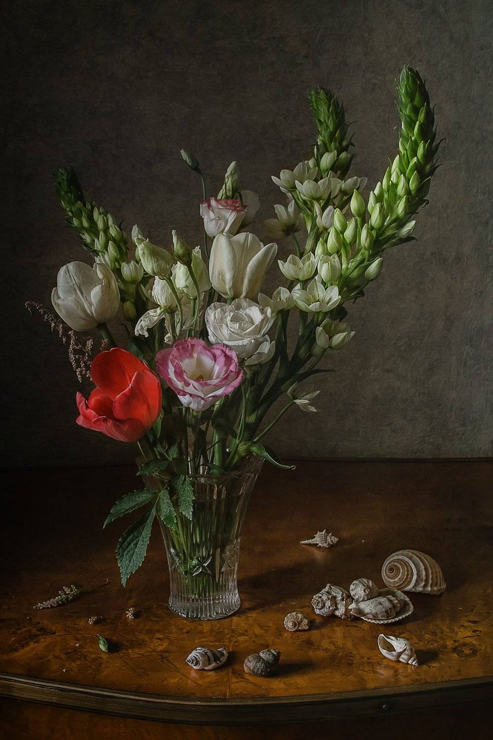 натюрморт, цветы, ракушки, Анна Петина