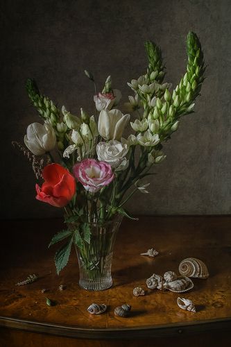 Цветы и ракушки