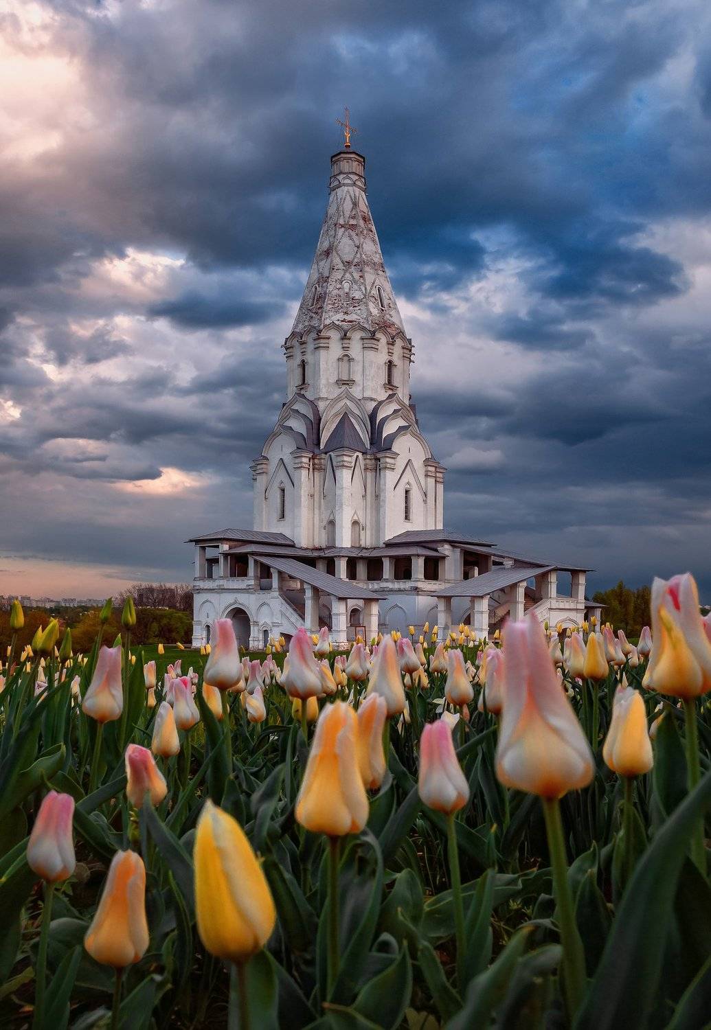 коломенское, весна, москва, тюльпаны, цветы,, Анастасия Мазурева