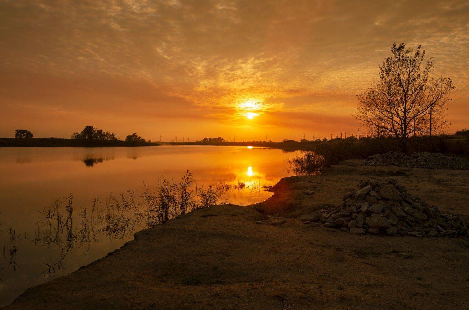 , Алексей Рыльский