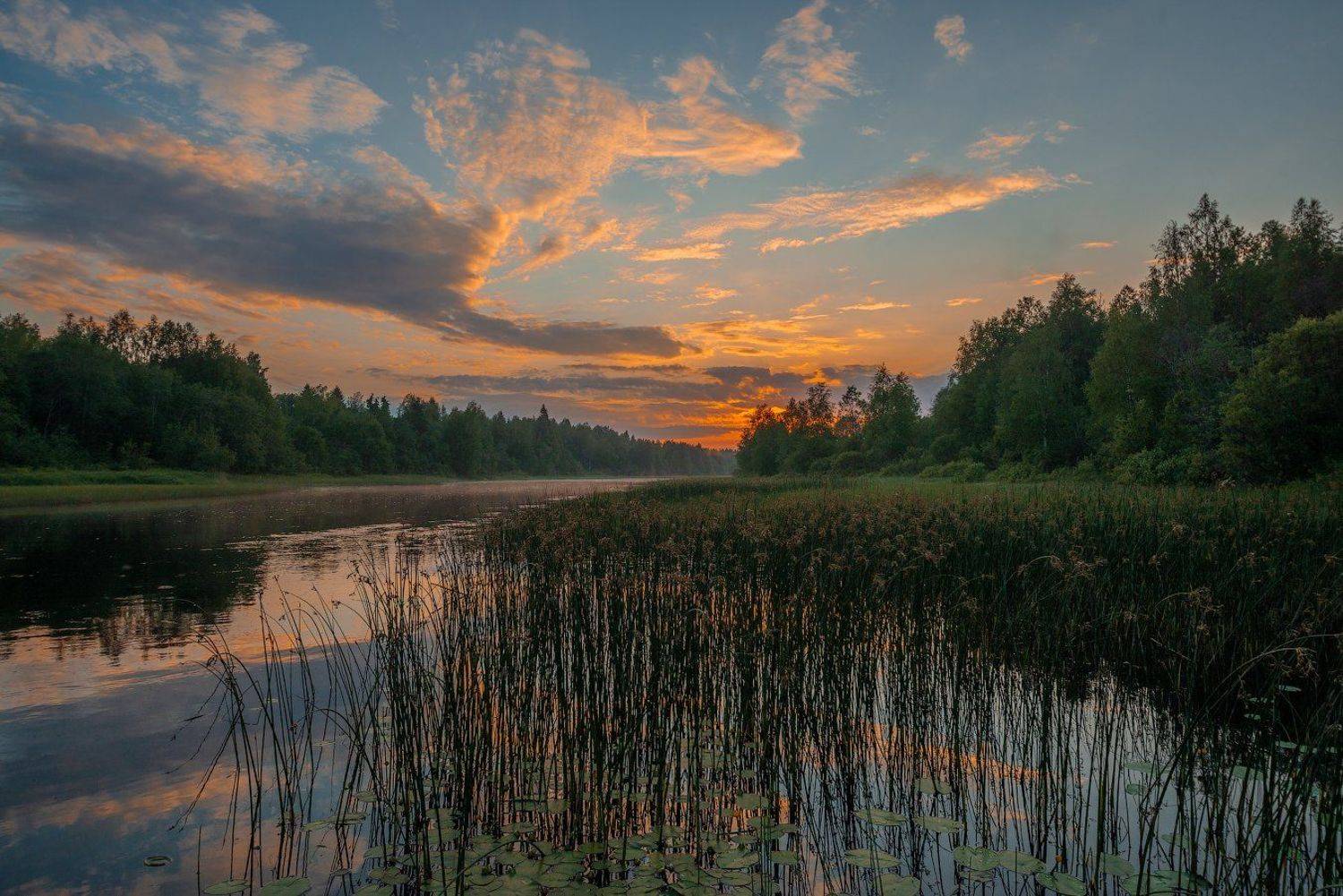великий двор,вологодчина,кема,север,лето,, Роман Горячий