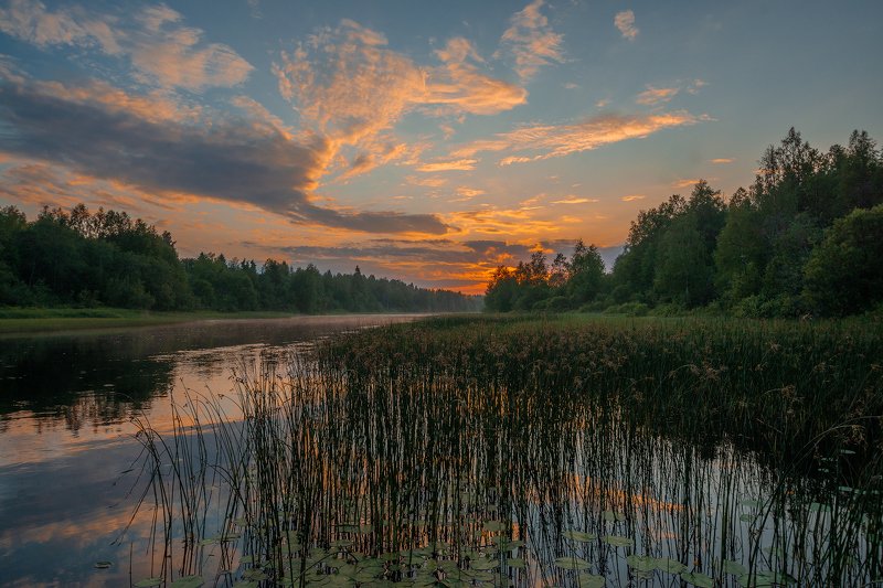 великий двор,вологодчина,кема,север,лето, Вечерело. фото превью