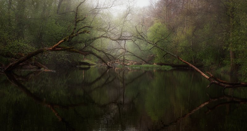 р. Крушма, Тульская обл. фото превью