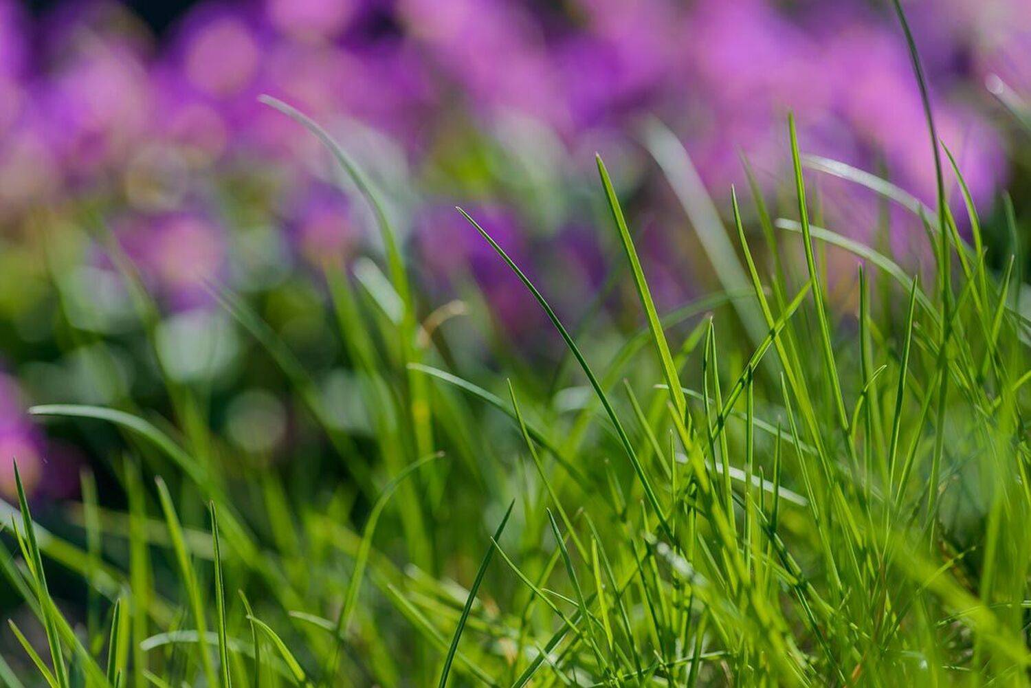 , Наиля Гарифуллина