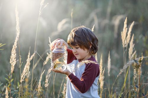 Золотая рыбка