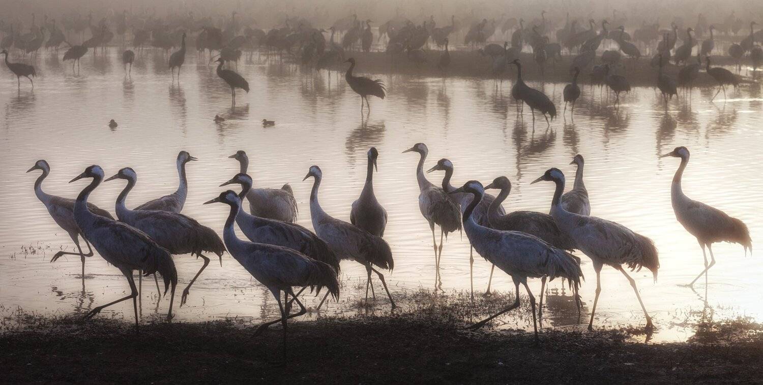 , Григорий Крамаренко