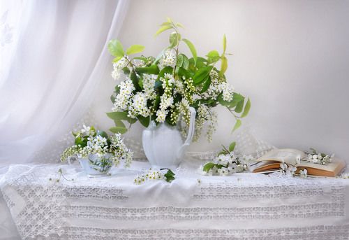 Нежностью черёмухи восхищена душа...