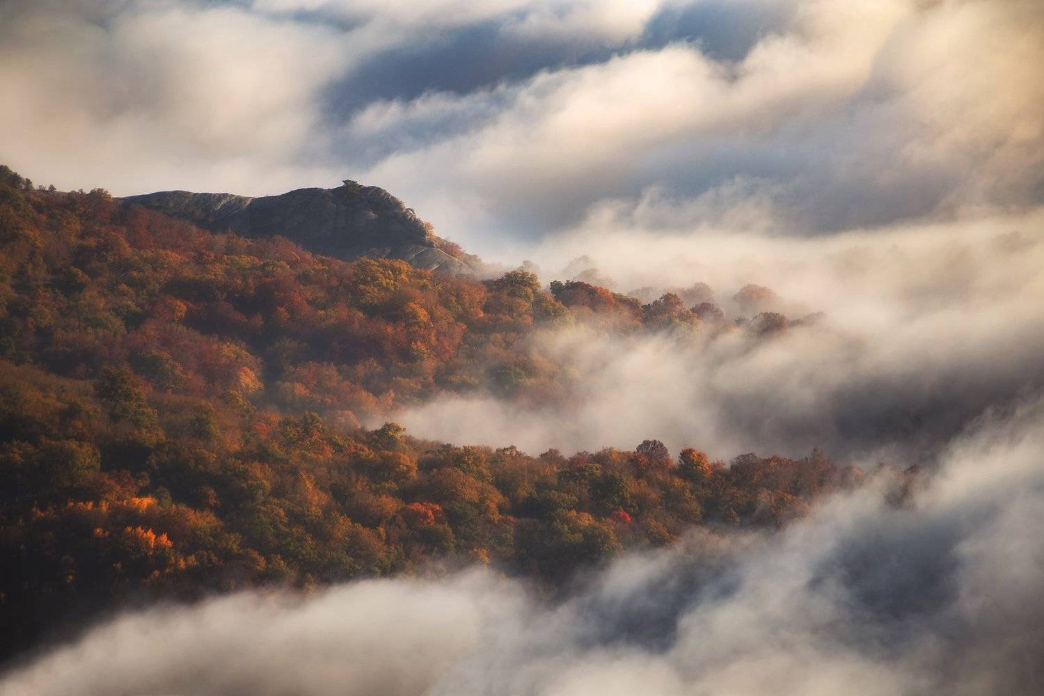 крым, фототуры, осень, пейзаж, туман, роман любимский, Роман Любимский